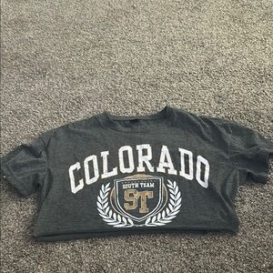 SHEIN Gray Colorado Graphic Short Sleeve Tee